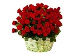 Exquisite Rose - 36 Stems Basket